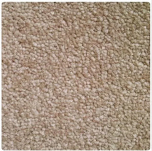 A close-up texture shot of a beige carpet or fabric with a short pile and mottled light and medium beige tones.