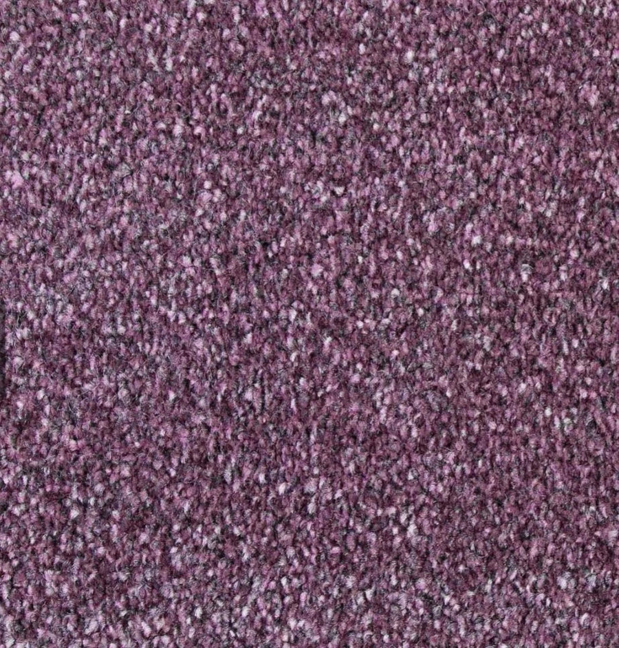 Luxury Saxony Purple Carpet 1.90m x 4m Thick Lounge Bedroom Carpet RRP £200
