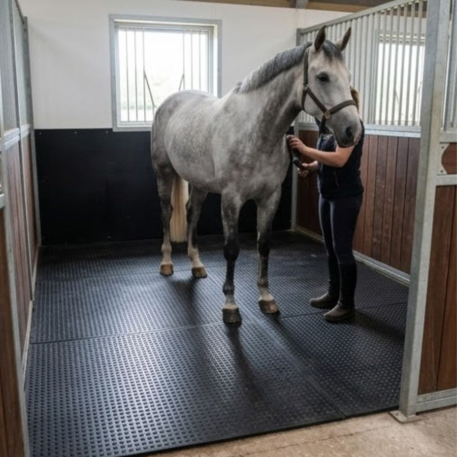 Bubbletop Rubber Stable Matting 6ft x 4ft 12mm Horse Mats Equestrian Floor