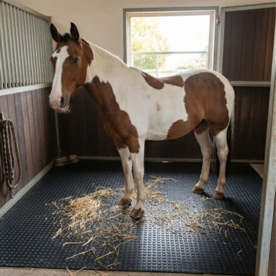 Bubbletop Rubber Stable Floor Matting 6ft x 4ft x 12mm Quality Horse Pony Mats