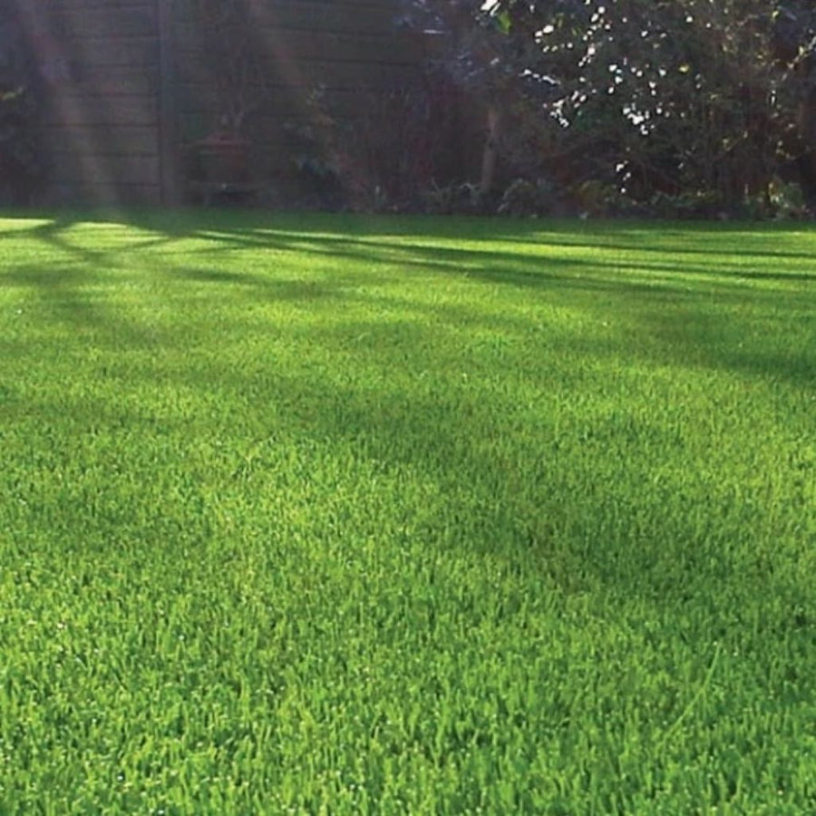 Luxury 40mm Artificial Grass | Cheap Realistic Fake Lawn Turf | Soft & Thick